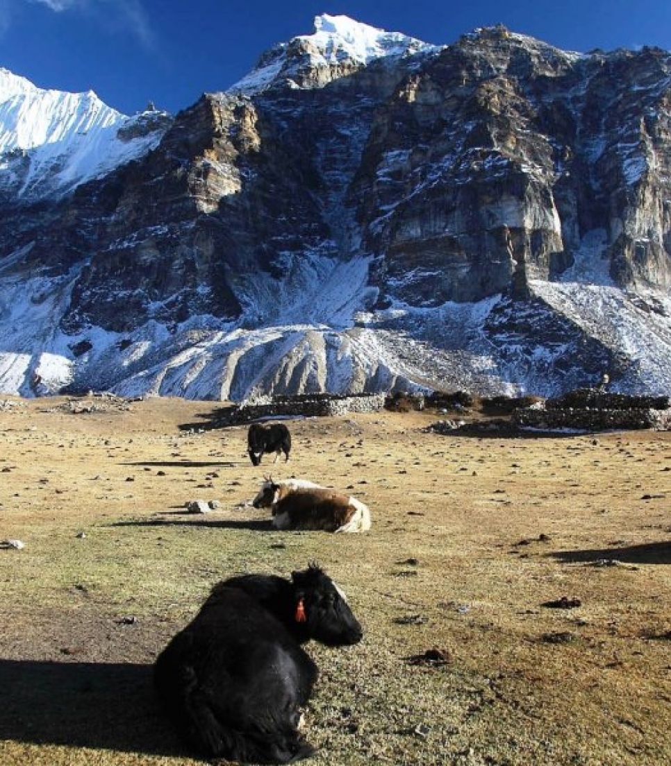 Kanchenjunga Trek